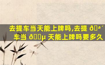 去提车当天能上牌吗,去提 🪴 车当 🌵 天能上牌吗要多久